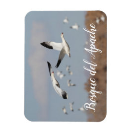 ボスク・デル・アパッチの空にゲーゼ マグネット