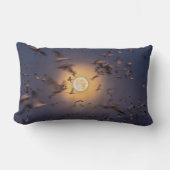 ボスク・デル・アパッチ国立野生生物保護区 ランバークッション (正面)