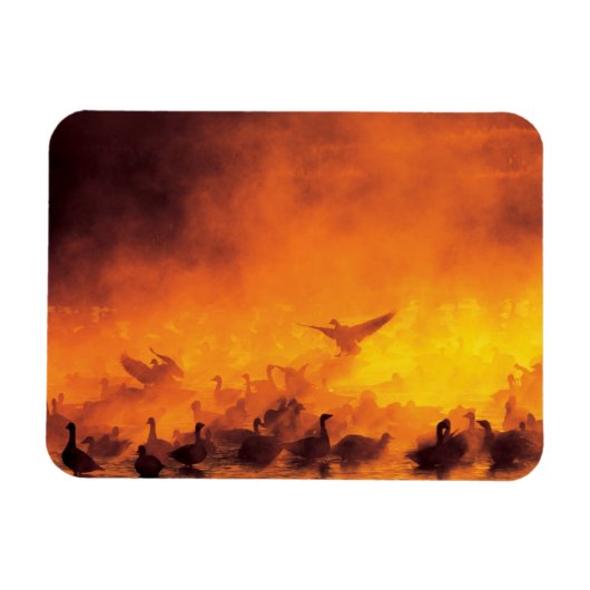 ボスク・デル・アパッチ国立野生生物保護区(NM) マグネット (横)