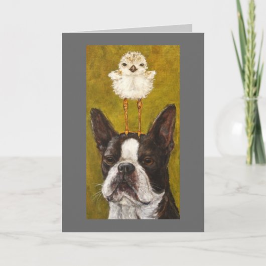 ボストンとクローバーのカード カード (正面)