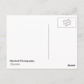 ボストンのダウンタウンで雪の夜 ポストカード (裏面)