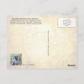 ボストンのマサチューセッツ州議事堂 ポストカード (裏面)