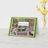 ボストンの鳥フォトコラージュ カード (黄色い花)