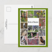 ボストンの鳥フォトコラージュ ポストカード (正面/裏面)