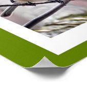 ボストンの鳥 ポスター (角)