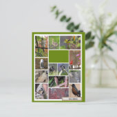 ボストンの鳥 ポストカード (スタンド正面)