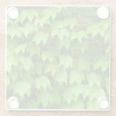 ボストンアイビー ガラスコースター (裏面)