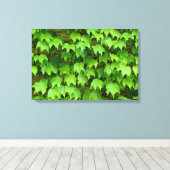 ボストンアイビー キャンバスプリント (インサイチュ (ウッドフロア))