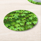 ボストンアイビー ラウンドペーパーコースター (アングル)