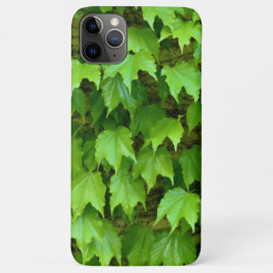 ボストンアイビー iPhone 11 PRO MAXケース