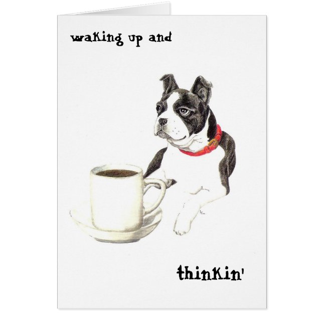 ボストンカフェイン (正面)