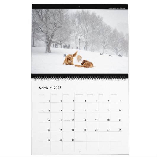 ボストンカレンダー#1 (最初に2019年の間設計されている) カレンダー (3月 2026)