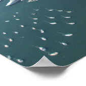 ボストンスカイライン航空 ポスター (角)