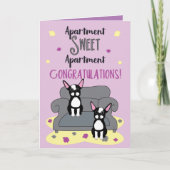 ボストンテリアおめでとうズオンニューアパートメント カード (正面)