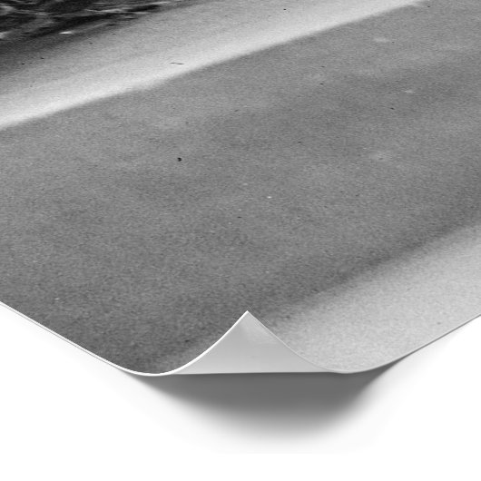 ボストンテリアと1920年代のファッション ポスター (角)