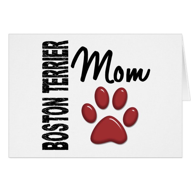 ボストンテリアのお母さん2 (正面横)