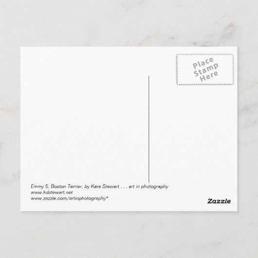 ボストンテリアのカラークォートポストカード ポストカード (裏面)