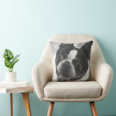 ボストンテリアの写真 クッション (椅子)