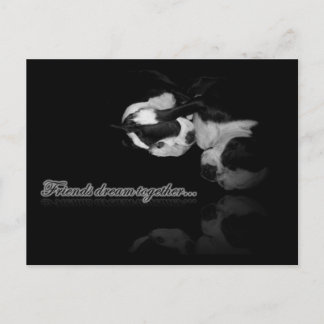 ボストンテリアの夢 - ポストカード