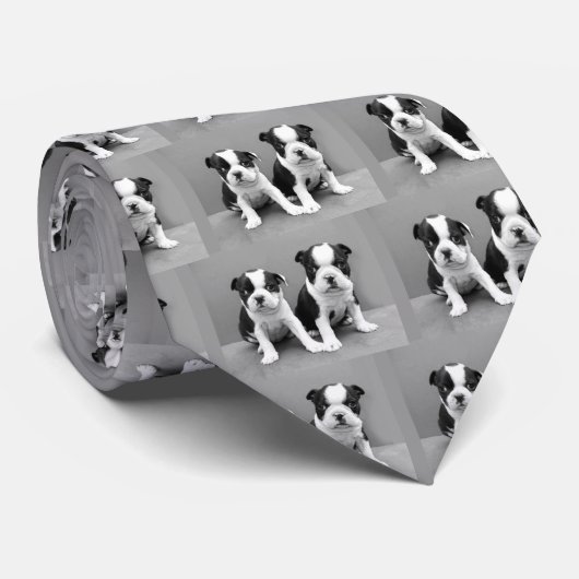 ボストンテリアの子犬のタイ ネクタイ (ロール)