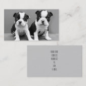 ボストンテリアの子犬の名刺 名刺 (正面/裏面)