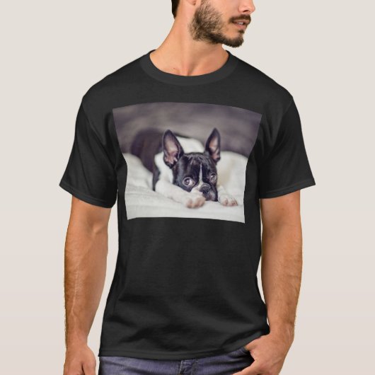 ボストンテリアの子犬 Tシャツ (正面)