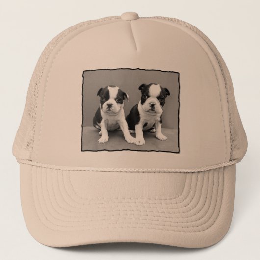 ボストンテリアの帽子 キャップ (正面)