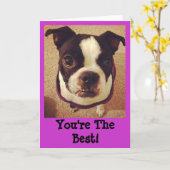 ボストンテリアの挨拶状 カード (黄色い花)