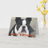 ボストンテリアの挨拶状 カード (黄色い花)