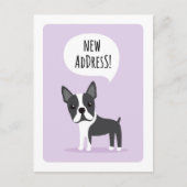 ボストンテリアの新しい住所移動発表 案内ポストカード (正面)
