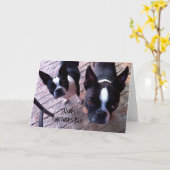 ボストンテリアの母の日カード カード (黄色い花)