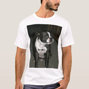 ボストンテリアの潔白な人の天使 Tシャツ
