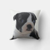 ボストンテリアの白黒子犬のクッション クッション (裏面)