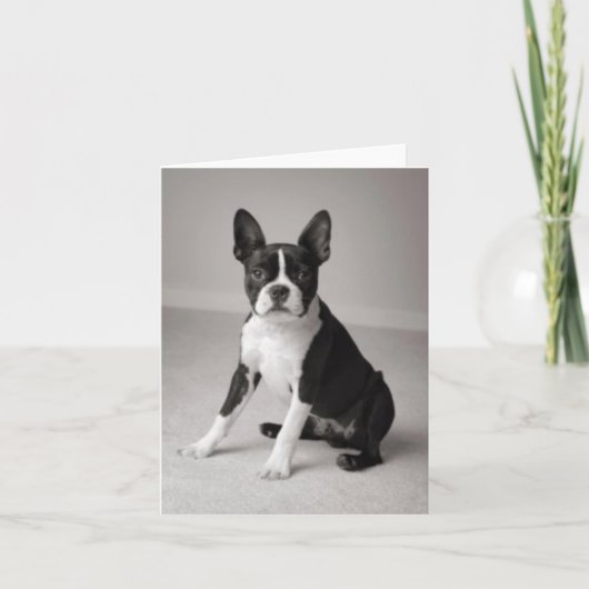 ボストンテリアの着席のメッセージカード カード (正面)