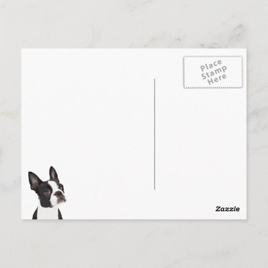 ボストンテリアイン宇宙はがき ポストカード (裏面)