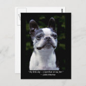 ボストンテリアカラー引用文はがき ポストカード (正面/裏面)