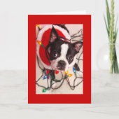 ボストンテリアクリスマスライトサンタグリーティングカー シーズンカード (正面)