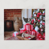 ボストンテリアクリスマス シーズンポストカード (正面)