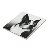 ボストンテリアタイル – "ボストンスタイル" タイル (側面)