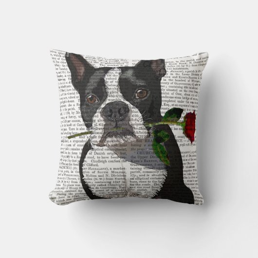 ボストンテリアバラ入り口 クッション (正面)