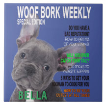 ボストンテリアパロディ誌の表紙