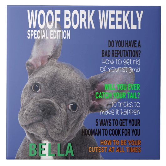 ボストンテリアパロディ誌の表紙 タイル (正面)