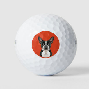 ボストンテリアペットテーマ ゴルフボール