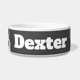 ボストンテリア三角形 ボウル