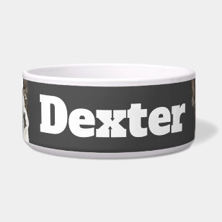 ボストンテリア三角形 ボウル