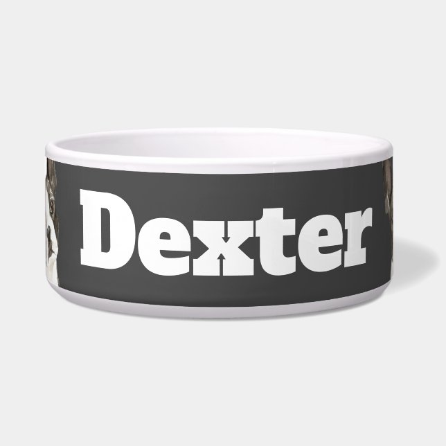 ボストンテリア三角形 ボウル (正面)