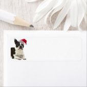 ボストンテリア差出人住所ラベル ラベル (インサイチュ)