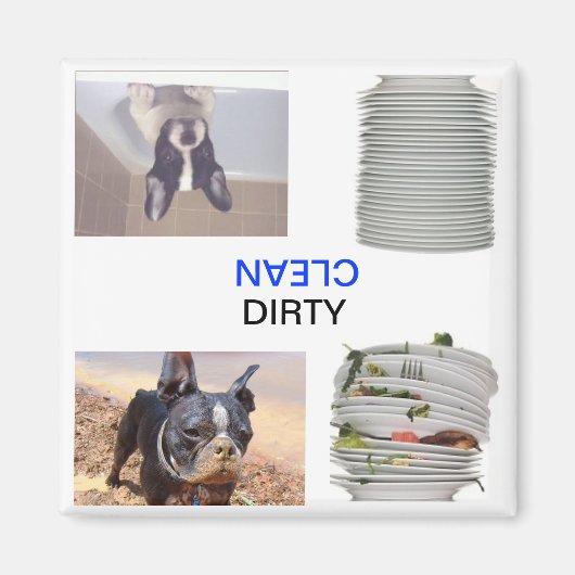 ボストンテリア汚れ/クリーン食器洗浄機マグネット マグネット (正面)