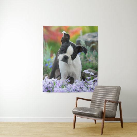 ボストンテリア犬かわいい子犬の動物頭写真 – - タペストリー (インサイチュ)