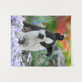 ボストンテリア犬かわいい子犬の動物頭写真 – - タペストリー (正面(横))